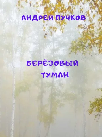 Обложка книги «Берёзовый туман»