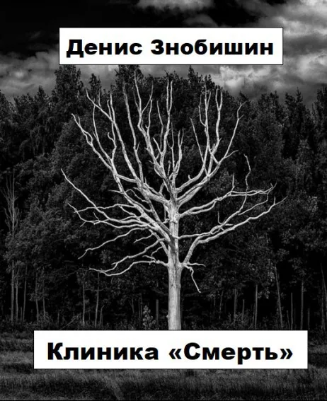 Обложка книги «Клиника "Смерть"» — Денис Знобишин