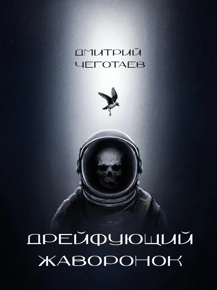 Обложка книги «Дрейфующий Жаворонок» — Дмитрий Чеготаев